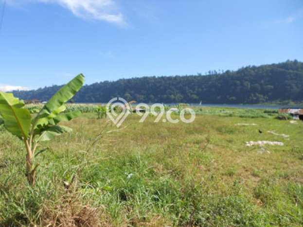 Tanah Lokasi Strategis Kawasan Bedugul, Luas 20000m², Kawasan Asri, Dekat Bedugul, Tabanan, Tabanan Tanah Lokasi Strategis Kawasan Bedugul, Luas 20000m², Kawasan Asri, Dekat Bedugul, Tabanan, Tabanan