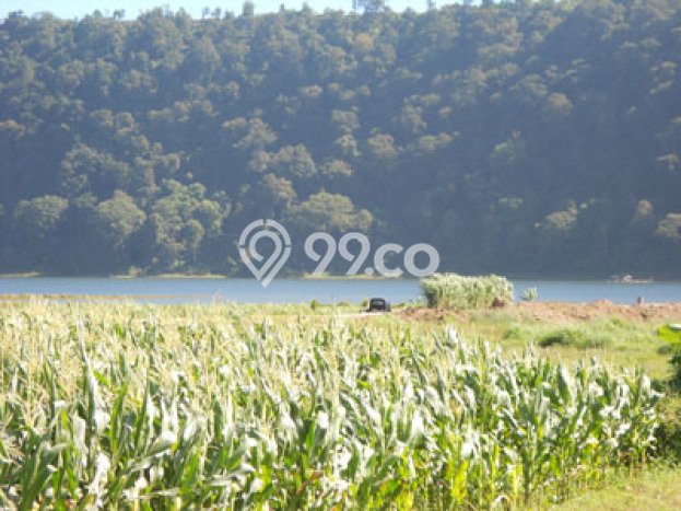 Tanah Lokasi Strategis Kawasan Bedugul, Luas 20000m², Kawasan Asri, Dekat Bedugul, Tabanan, Tabanan Tanah Lokasi Strategis Kawasan Bedugul, Luas 20000m², Kawasan Asri, Dekat Bedugul, Tabanan, Tabanan