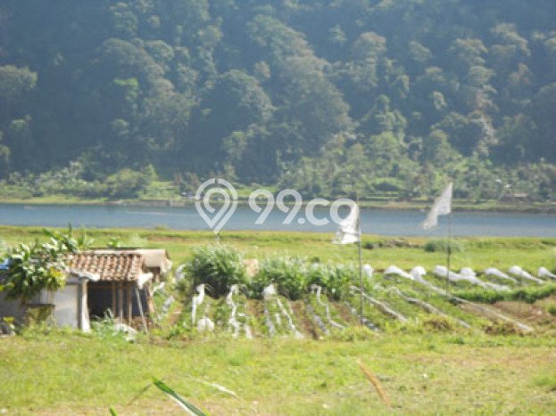 Tanah Lokasi Strategis Kawasan Bedugul, Luas 20000m², Kawasan Asri, Dekat Bedugul, Tabanan, Tabanan Tanah Lokasi Strategis Kawasan Bedugul, Luas 20000m², Kawasan Asri, Dekat Bedugul, Tabanan, Tabanan