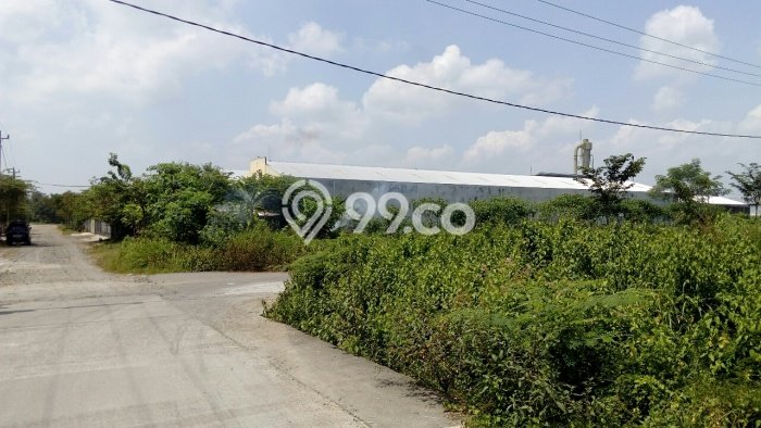 AREA PROSPEKTIF! Tanah Kawasan Kalijambe, Luas 6000m², Dekat Transportasi AREA PROSPEKTIF! Tanah Kawasan Kalijambe, Luas 6000m², Dekat Transportasi