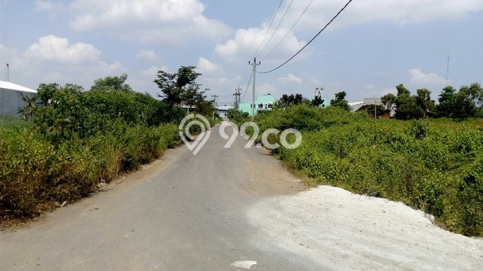 Tanah di Kalijambe, Luas 54999m², Jalur Strategis Tanah di Kalijambe, Luas 54999m², Jalur Strategis