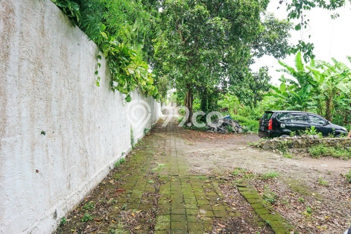 LANGKA!! Total 11 Are, Bisa ambil 2 atau 3 Are di Umalas 1, dkt Petitenget LANGKA!! Total 11 Are, Bisa ambil 2 atau 3 Are di Umalas 1, dkt Petitenget