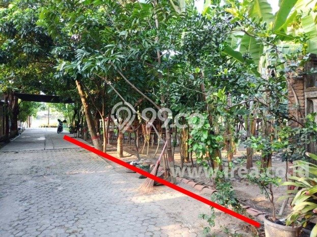 Tanah Kavling untuk Dijual di Jajar Solo 291m2 Tanah Kavling untuk Dijual di Jajar Solo 291m2