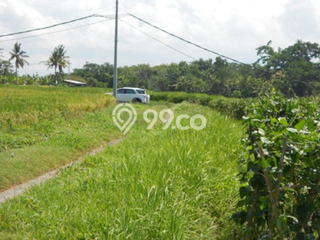 Tanah Kawasan Klecung, Luas 7500m², Area Komersial Tanah Kawasan Klecung, Luas 7500m², Area Komersial