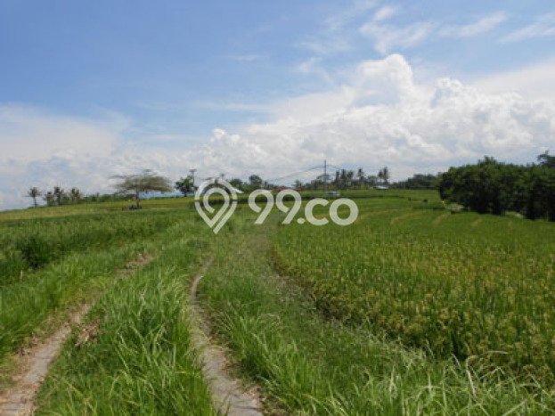 Tanah Kawasan Klecung, Luas 7500m², Area Komersial Tanah Kawasan Klecung, Luas 7500m², Area Komersial