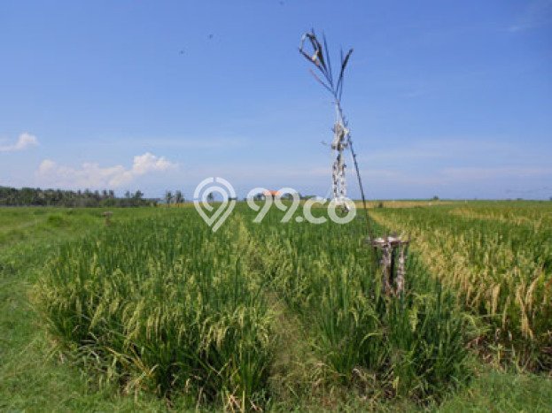 Tanah Kawasan Klecung, Luas 7500m², Area Komersial Tanah Kawasan Klecung, Luas 7500m², Area Komersial