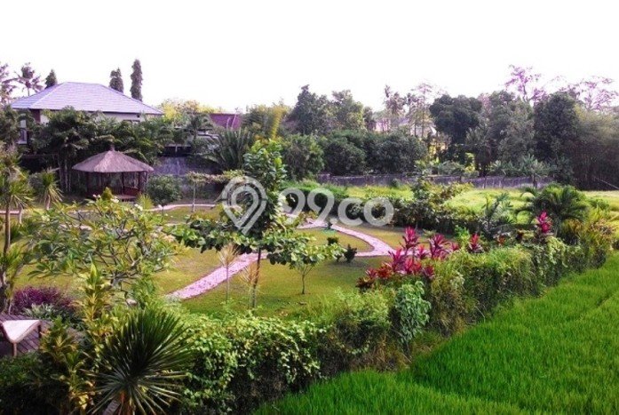 Tanah Cantik View Sawah di Pererenan, 2 mnt ke Echo Beach Tanah Cantik View Sawah di Pererenan, 2 mnt ke Echo Beach