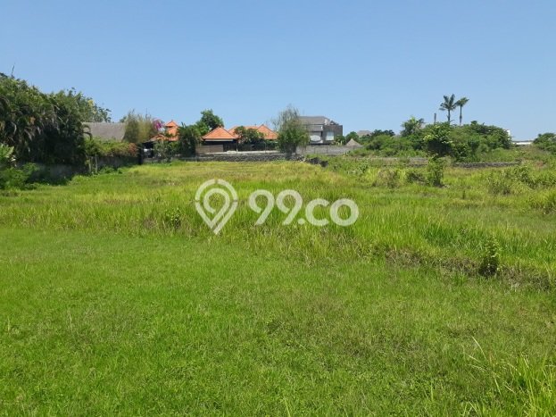 Nice Location!! 21 Are Rice Field View at Umalas 2, 5 mins to Petitenget Nice Location!! 21 Are Rice Field View at Umalas 2, 5 mins to Petitenget