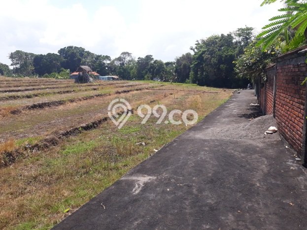 Nice Location!! 21 Are Rice Field View at Umalas 2, 5 mins to Petitenget Nice Location!! 21 Are Rice Field View at Umalas 2, 5 mins to Petitenget