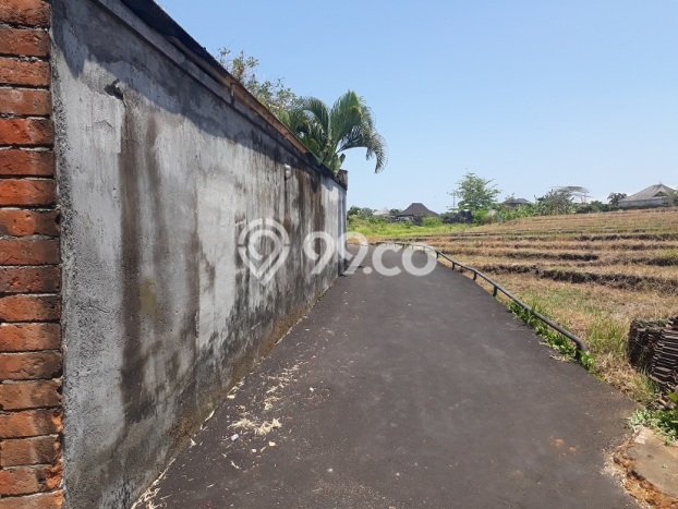 Nice Location!! 21 Are Rice Field View at Umalas 2, 5 mins to Petitenget Nice Location!! 21 Are Rice Field View at Umalas 2, 5 mins to Petitenget