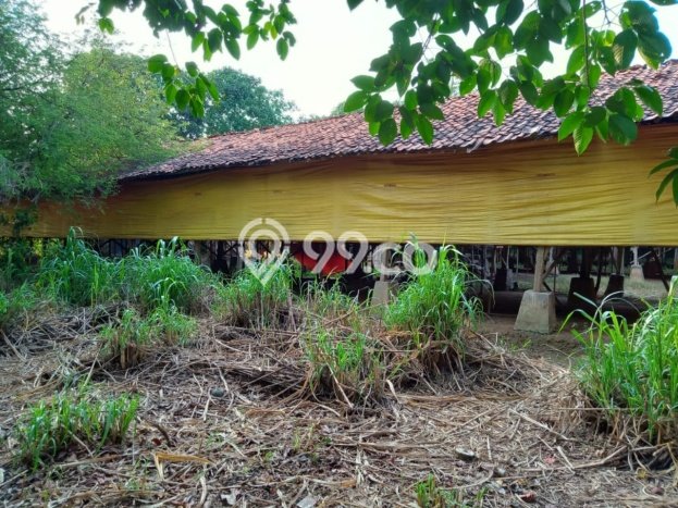 Jual Tanah Area Berkembang Kawasan Serang Cibarusah, Luas 1850m2m², Akses Serang Cibarusah, Cikarang, Cikarang Jual Tanah Area Berkembang Kawasan Serang Cibarusah, Luas 1850m2m², Akses Serang Cibarusah, Cikarang, Cikarang