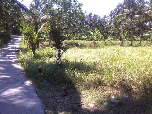 Dijual Tanah Lokasi Saba, Gianyar Seluas 1730m2 Dijual Tanah Lokasi Saba, Gianyar Seluas 1730m2