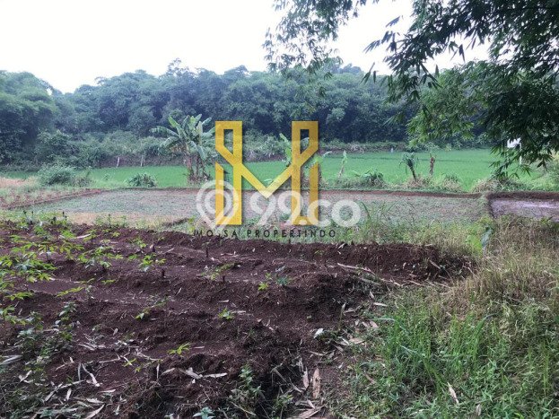 Lahan Investasi Lokasi Setu Bekasi Lain-lain Lahan Investasi Lokasi Setu Bekasi Lain-lain