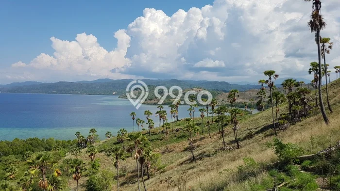 Tanah Kavling Dijual di Labuan Bajo, Manggarai Barat dengan Luas Tanah 1m2 Tanah Kavling Dijual di Labuan Bajo, Manggarai Barat dengan Luas Tanah 1m2