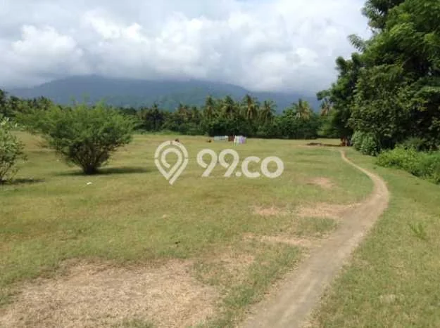 Kavling Tanah Dijual di Gerokgak Buleleng Spesifikasi 78000m2 Kavling Tanah Dijual di Gerokgak Buleleng Spesifikasi 78000m2