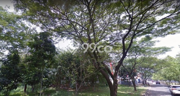 Disewakan Tanah di Bintaro Tangerang Selatan Seluas 2500m2 Disewakan Tanah di Bintaro Tangerang Selatan Seluas 2500m2