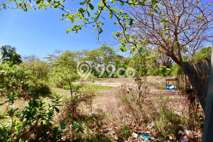 Untuk Dijual Tanah di Badung, Luas 16600m2 SHM Untuk Dijual Tanah di Badung, Luas 16600m2 SHM