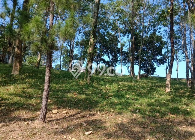 Dijual Tanah Lokasi Sentul City, Bogor Seluas 757m2 Dijual Tanah Lokasi Sentul City, Bogor Seluas 757m2