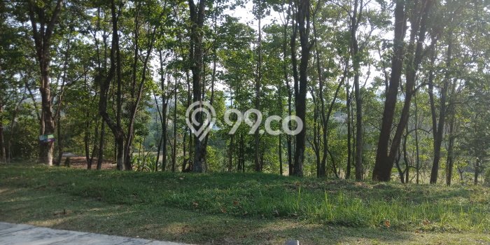 Tanah Investasi Dijual di Bogor Punya Luas 757m2 Tanah Investasi Dijual di Bogor Punya Luas 757m2