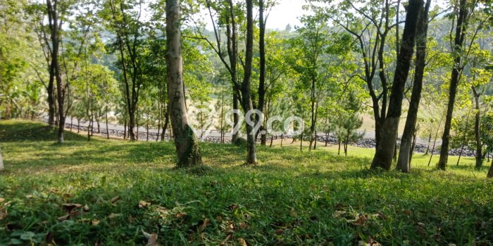 Tanah Investasi Dijual di Bogor Punya Luas 757m2 Tanah Investasi Dijual di Bogor Punya Luas 757m2
