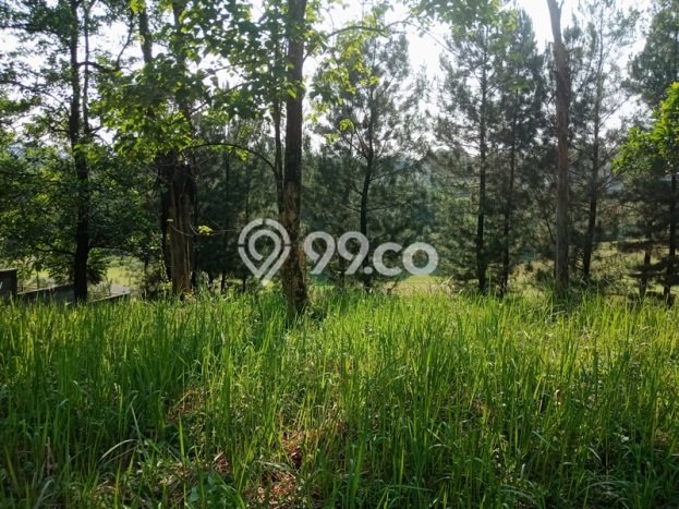 Dijual Tanah Lokasi Sentul City, Bogor Seluas 653m2 Dijual Tanah Lokasi Sentul City, Bogor Seluas 653m2