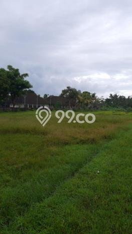 LOKASI PREMIUM! Tanah Kawasan Mengwi, Luas 4950m2m², Ideal untuk Investasi LOKASI PREMIUM! Tanah Kawasan Mengwi, Luas 4950m2m², Ideal untuk Investasi