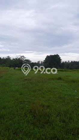 LOKASI PREMIUM! Tanah Kawasan Mengwi, Luas 4950m2m², Ideal untuk Investasi LOKASI PREMIUM! Tanah Kawasan Mengwi, Luas 4950m2m², Ideal untuk Investasi