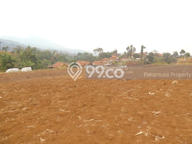 Tanah Kavling di Cimenyan Dijual dengan Luas 11000m2 Tanah Kavling di Cimenyan Dijual dengan Luas 11000m2