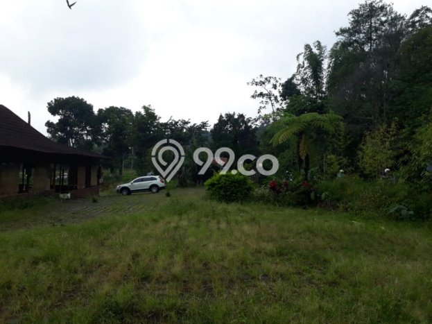Kavling Tanah di Tawangmangu Dijual Luas 3665m2 Legalitas SHM Kavling Tanah di Tawangmangu Dijual Luas 3665m2 Legalitas SHM