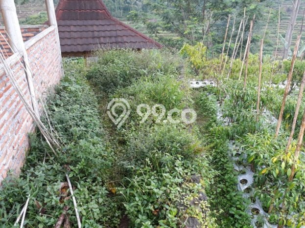 Kavling Tanah di Tawangmangu Dijual Luas 3665m2 Legalitas SHM Kavling Tanah di Tawangmangu Dijual Luas 3665m2 Legalitas SHM