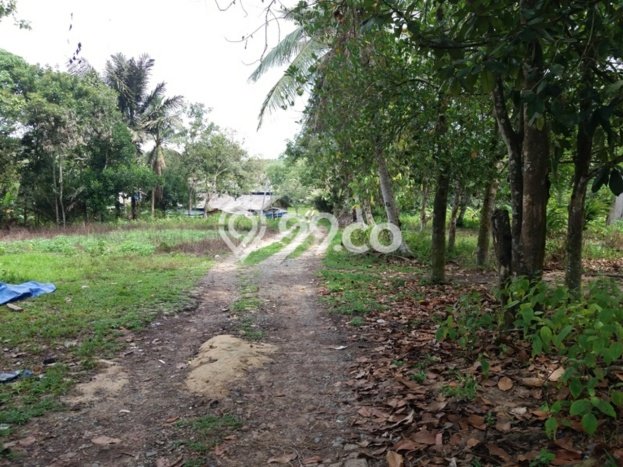 Jual Tanah Lokasi Strategis di Balikpapan Utara, Luas 33600m², Akses Balikpapan Utara, Balikpapan, Balikpapan Jual Tanah Lokasi Strategis di Balikpapan Utara, Luas 33600m², Akses Balikpapan Utara, Balikpapan, Balikpapan