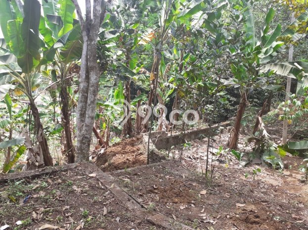 Lahan Investasi Lokasi Cidahu Sukabumi SHM Lahan Investasi Lokasi Cidahu Sukabumi SHM