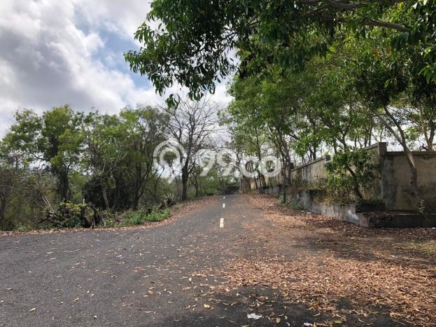 Tanah Kawasan Pecatu, Luas 71000m², Lokasi Premium Tanah Kawasan Pecatu, Luas 71000m², Lokasi Premium