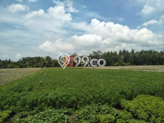 Tanah Potensial di , Luas 55235m2m², Pinggir Jalan Tanah Potensial di , Luas 55235m2m², Pinggir Jalan