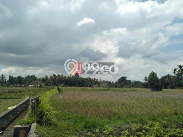 Tanah Potensial di , Luas 55235m2m², Pinggir Jalan Tanah Potensial di , Luas 55235m2m², Pinggir Jalan