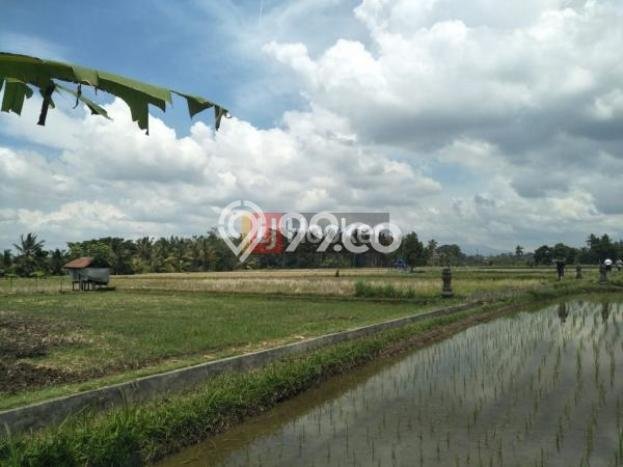 Tanah Potensial di , Luas 55235m2m², Pinggir Jalan Tanah Potensial di , Luas 55235m2m², Pinggir Jalan
