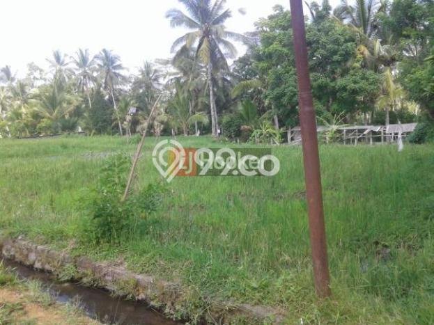 HARGA TERBAIK! Tanah Kawasan Tegallalang, Luas 900m2m², Lokasi Prima HARGA TERBAIK! Tanah Kawasan Tegallalang, Luas 900m2m², Lokasi Prima