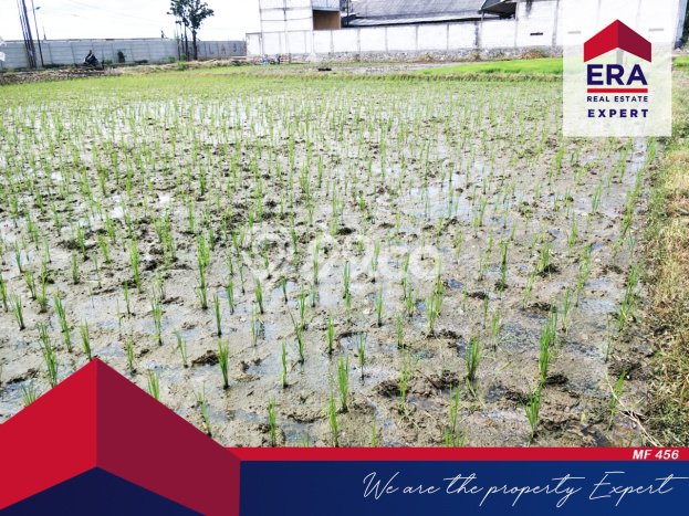 PRIME LOCATION! Tanah di Cakung, Luas 975m², Ideal untuk Investasi PRIME LOCATION! Tanah di Cakung, Luas 975m², Ideal untuk Investasi