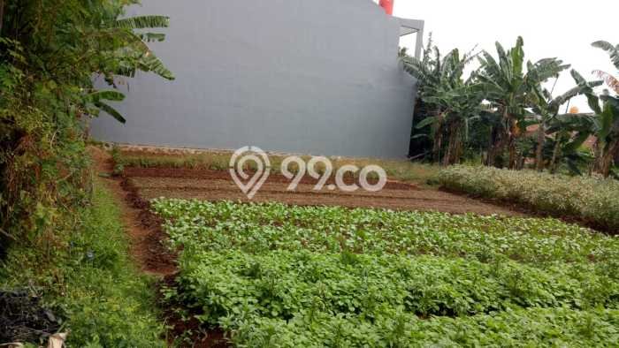 Untuk Dijual Tanah 1000m2 di Duri Kosambi, Jakarta Barat Untuk Dijual Tanah 1000m2 di Duri Kosambi, Jakarta Barat