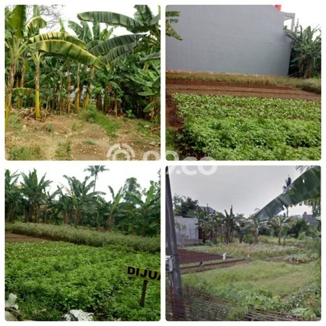 Untuk Dijual Tanah 1000m2 di Duri Kosambi, Jakarta Barat Untuk Dijual Tanah 1000m2 di Duri Kosambi, Jakarta Barat