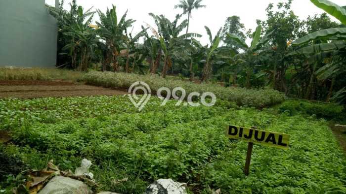 Untuk Dijual Tanah 1000m2 di Duri Kosambi, Jakarta Barat Untuk Dijual Tanah 1000m2 di Duri Kosambi, Jakarta Barat