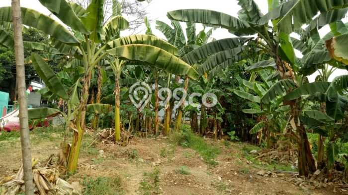 Untuk Dijual Tanah 1000m2 di Duri Kosambi, Jakarta Barat Untuk Dijual Tanah 1000m2 di Duri Kosambi, Jakarta Barat