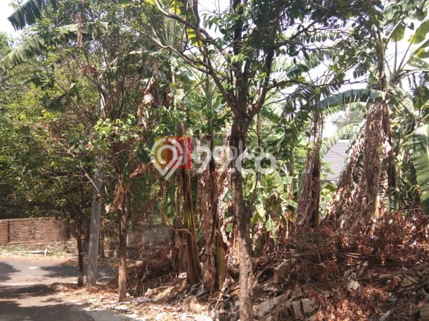 Tanah Kavling Dijual di Semarang dengan Spesifikasi 600m2 Tanah Kavling Dijual di Semarang dengan Spesifikasi 600m2