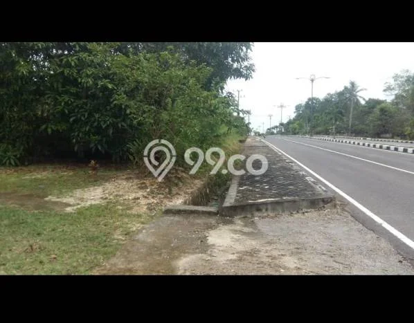 Tanah Kavling Dijual di Belitung dengan Spesifikasi 3300m2 Tanah Kavling Dijual di Belitung dengan Spesifikasi 3300m2