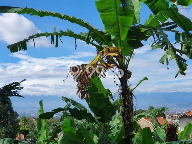 Untuk Dijual Tanah 325m2 di Parongpong, Bandung Untuk Dijual Tanah 325m2 di Parongpong, Bandung