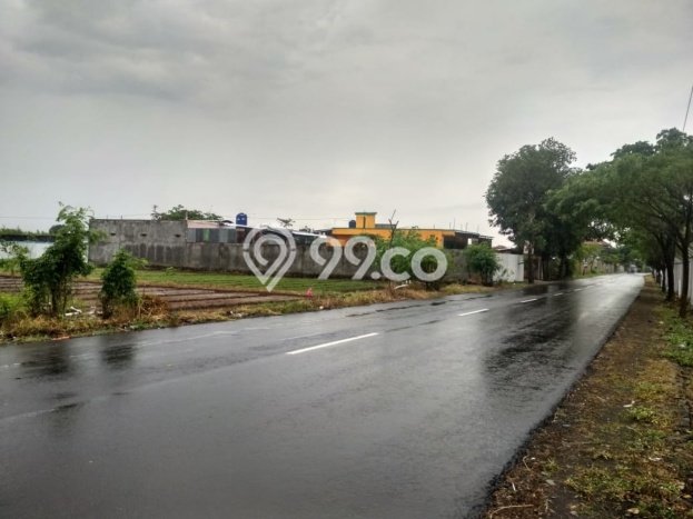 Tanah Kavling di Ngemplak Dijual dengan Luas 6634m2 Tanah Kavling di Ngemplak Dijual dengan Luas 6634m2