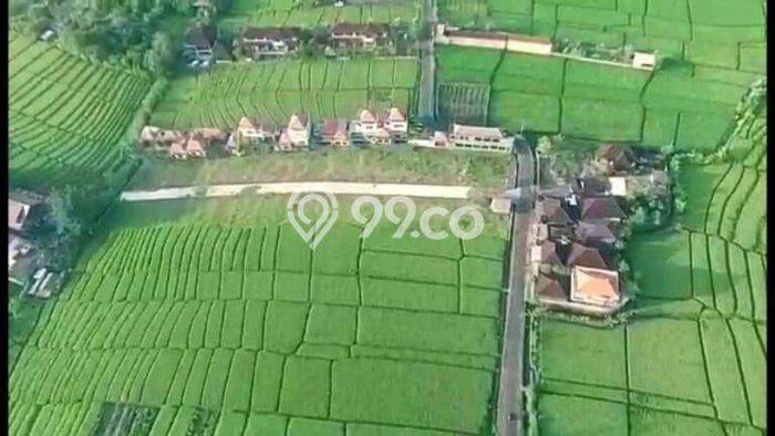 Tanah super cantik kompleks vila dekat pantai Tanah super cantik kompleks vila dekat pantai