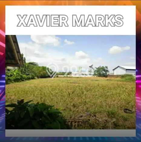 Kavling Tanah di Bangsalsari Dijual Luas 4260m2 Legalitas SHM Kavling Tanah di Bangsalsari Dijual Luas 4260m2 Legalitas SHM