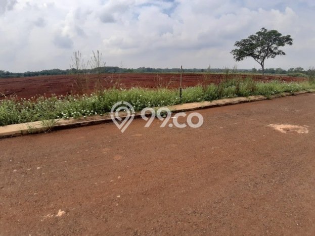 Tanah Kavling untuk Dijual di Purwadadi Subang 10000m2 Tanah Kavling untuk Dijual di Purwadadi Subang 10000m2