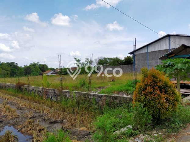 Tanah Dijual Lokasi Kartosuro, Solo Luas 4060m2 Legalitas Aman Tanah Dijual Lokasi Kartosuro, Solo Luas 4060m2 Legalitas Aman